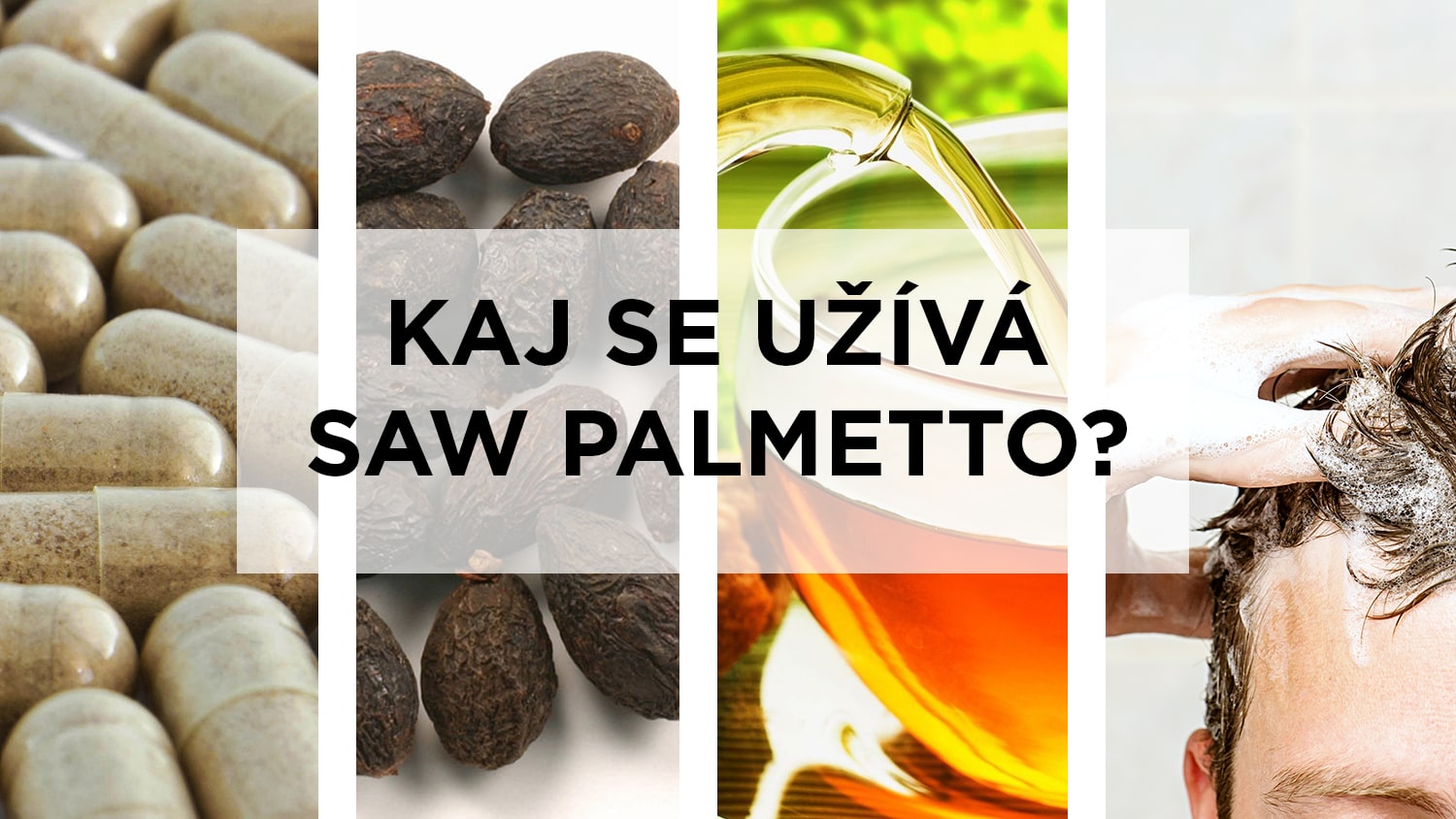 Způsoby užívání saw palmetta - kapsle, pilulky, sušené plody, čaj, šampon