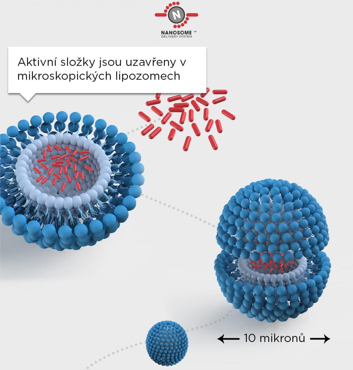 Tchnológie nanosomů pro lepší dodání výživných látek do pokožky - aktivní složky jsou uzavřeny v mikroskopických lipozomech.