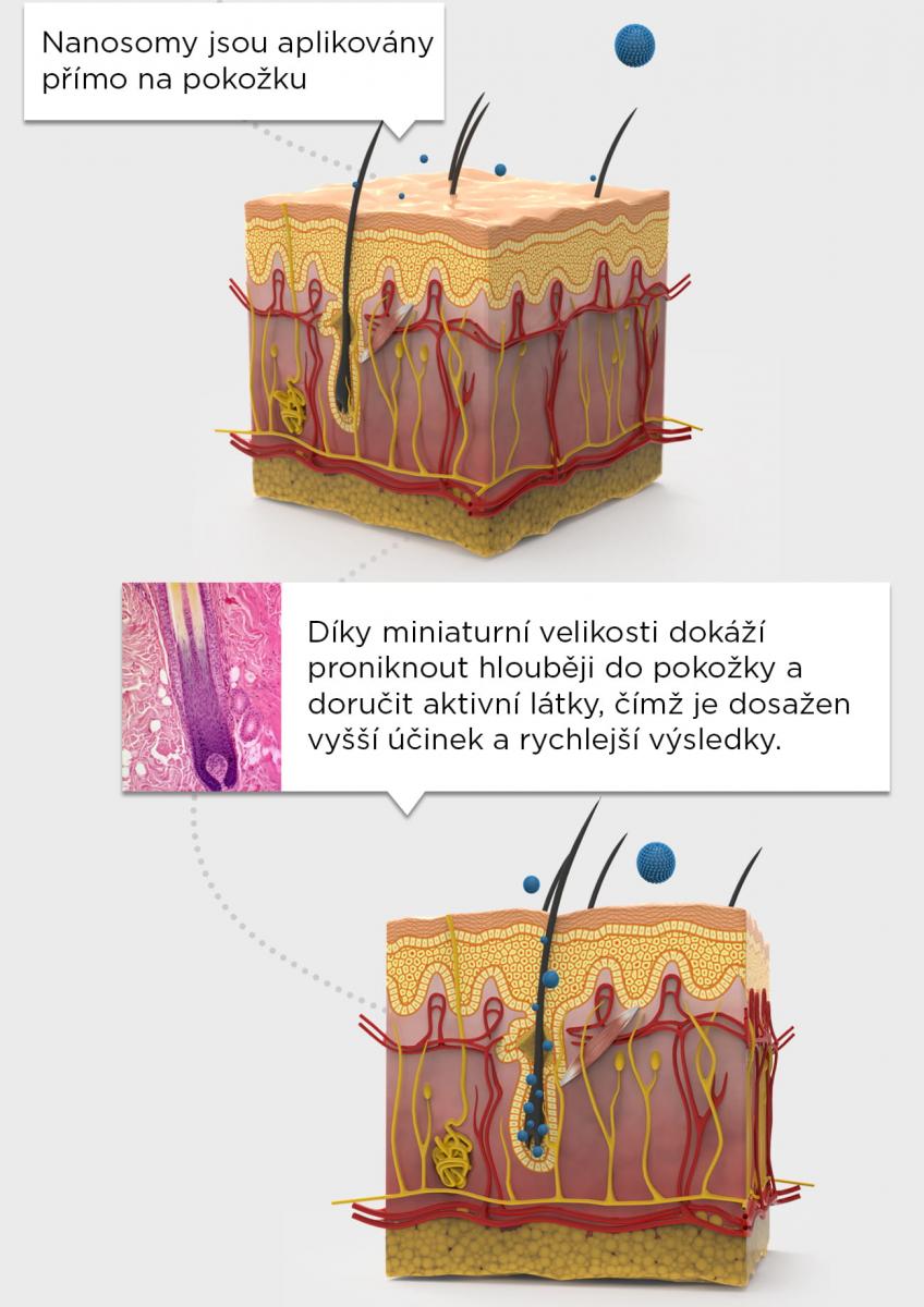 Tchnológie nanosomů pro lepší dodání výživných látek do pokožky - díky miniaturní velikosti dokážou proniknout hlouběji do pokožky a doručit aktivní látky čímž je dosažen vyšší účinek a rychlejší výsledky.